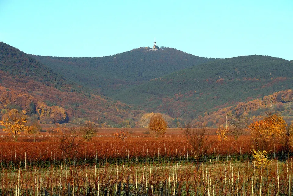 Blick von der Kalmit über die Rheinebene
