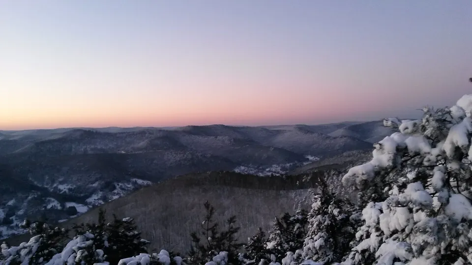 Aussicht über den Pfälzerwald – Wanderregion für Urlaub mit Hund